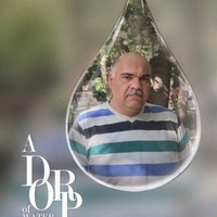 Farzin Andalib Andalib