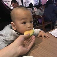 金晨琪