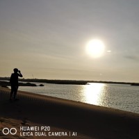 Ronald Javier Damian Martinez