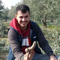 Mustafa Gokay