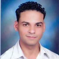 Mahmoud Ashmawy
