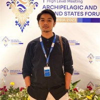 Ida Bagus Ari Wijaya