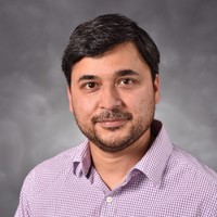 Dinesh Goswami