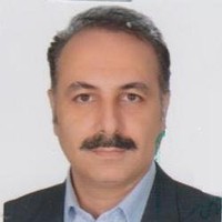 Mohmmad Hosseini