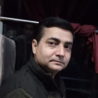 Bipin Roy