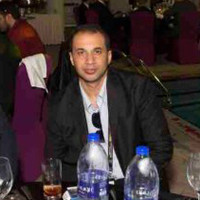 Maged A. Moneim