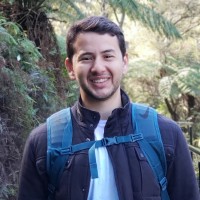 Guilherme Vecchi Lopes de Carvalho