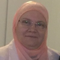Safinaz Sultan