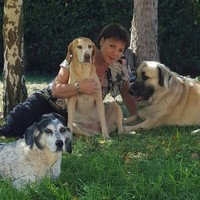 Carole Imbert