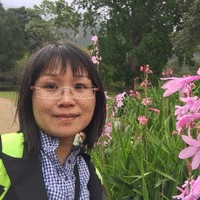 Ngoc Pham