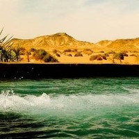 walid ahmed