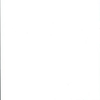 Antje Herfert