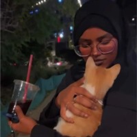 Afnan AL-Amri