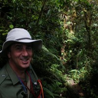 David Clements