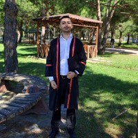 Koray Bulut