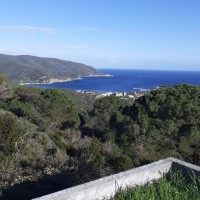 Enza Amaro
