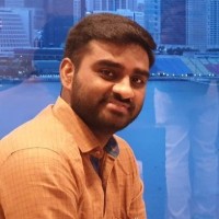 Vignesh K P