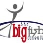 The Big Fish Consulting