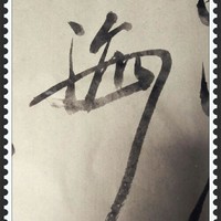 赵海妮
