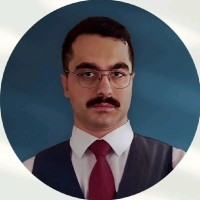 Reza Rouholamin