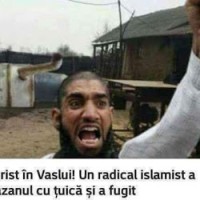 agache radu
