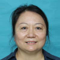 Carol Yang