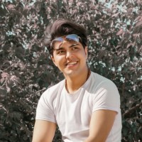 mohammad mehdi lalezari