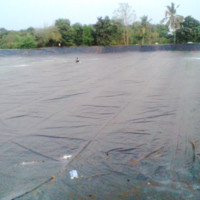 Sohil Malek