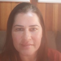 Viviane Ribeiro