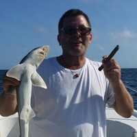 Mark Baldi