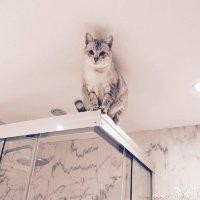 陈贤强