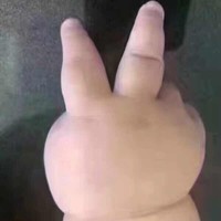 杨振中