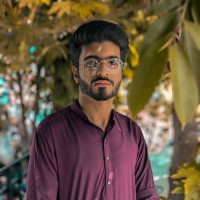 Muhammad Shoaib Ali
