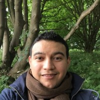 Manuel Flores