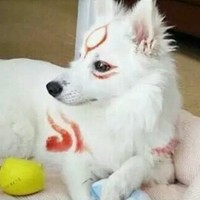 杨嘉诩