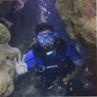 Abdulaziz Altowerqi