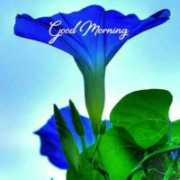 Ashokkumar Gopinathan
