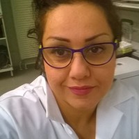 Sousan Jafari