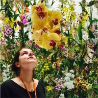 India Alarcón Rojas