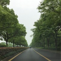 娄见航