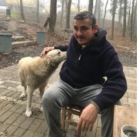 Oğuzhan Koç