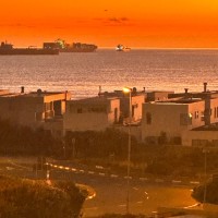 Landy Vincent Moloto