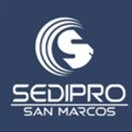 SediproUNMSM Project Management Office