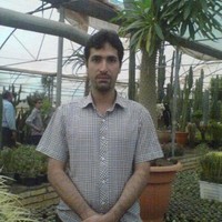 Hamid Majnooni
