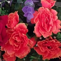 غلام نظرپور