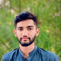 Haroon Malik