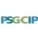Professional Services Group
