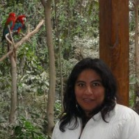 Karla Ojeda Cornejo