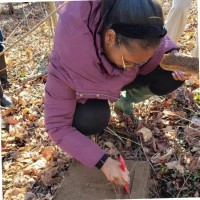 Taylor Means