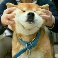 何玲旭